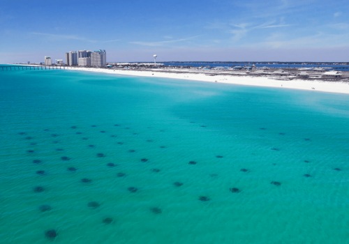 The Impact of Enterprises on Northwest Florida's Economy