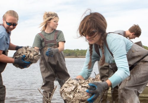 The Ever-Changing Business Landscape of Northwest Florida